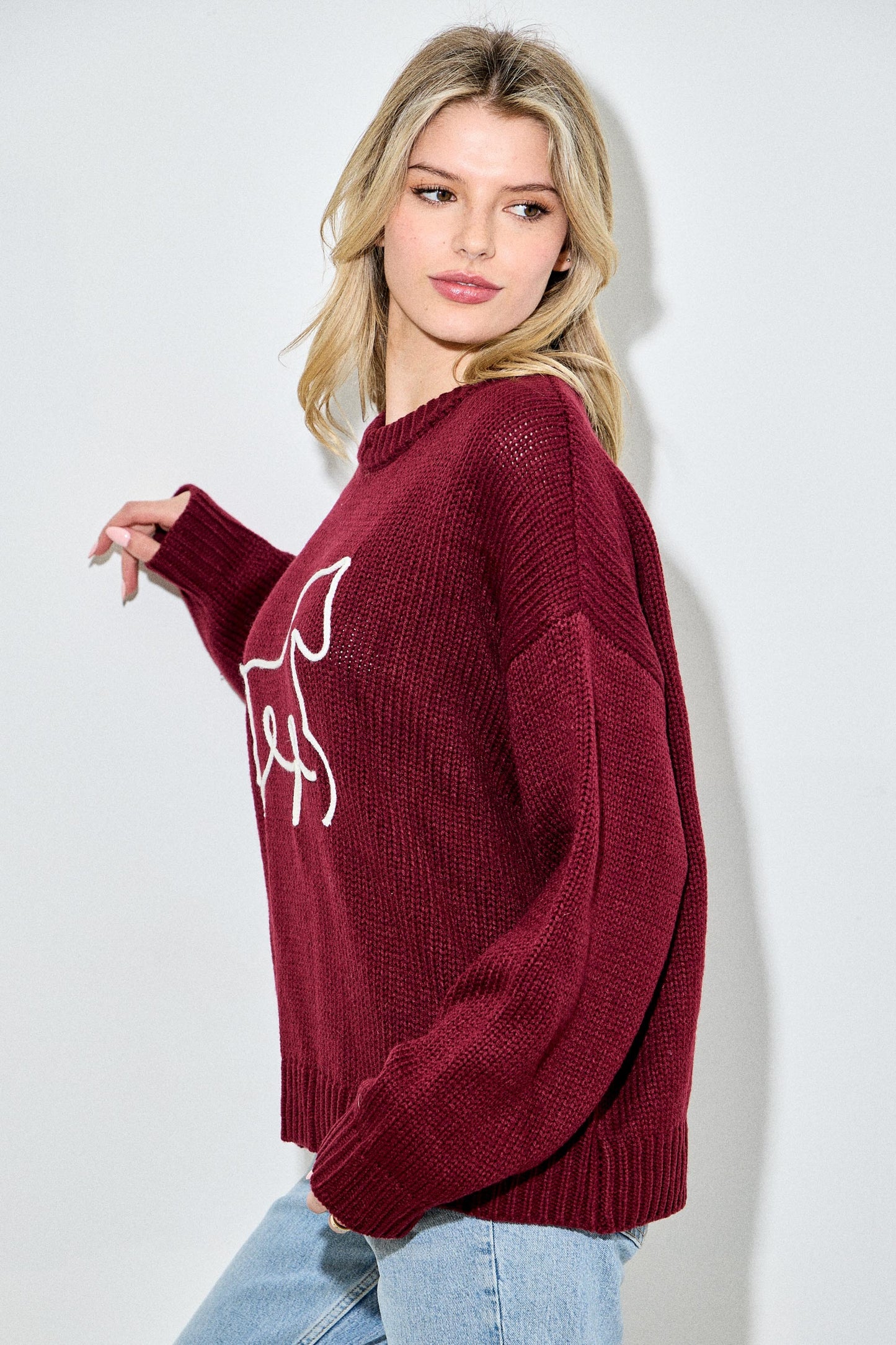 3D Horse Sweater