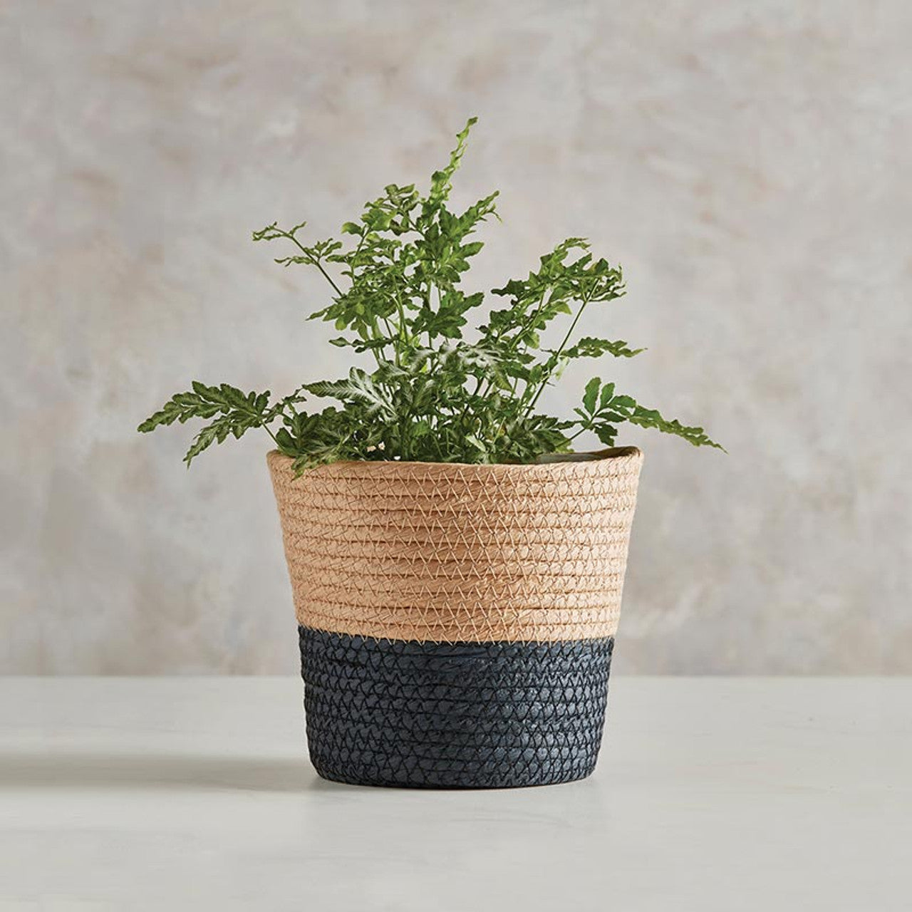 Two Toned Black Lined Basket
