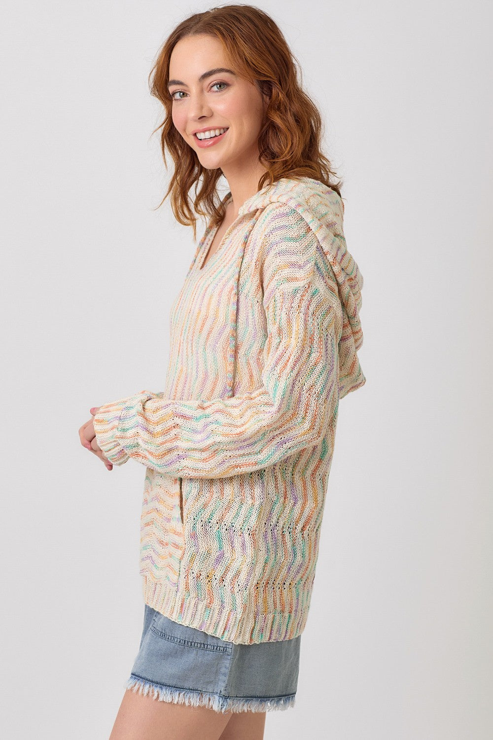 Multicolor Chevron Hoodie Sweater in Oatmeal