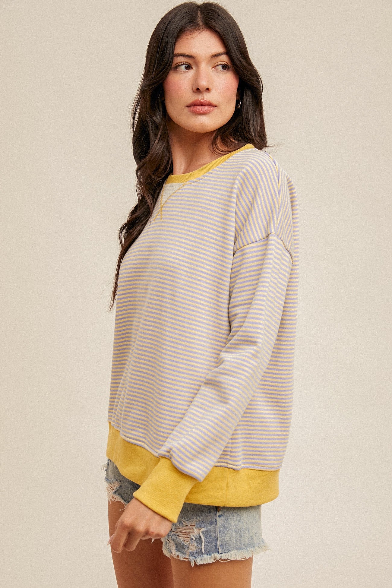 Mini Stripe Sweatshirt
