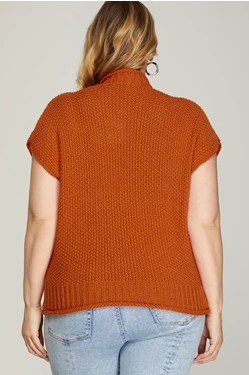 Curvy Sweater Top in Rust