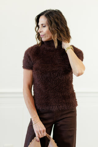 Elan Mock Neck Short Sleeve Sweater in Espresso