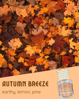 Whiffin' It Seasonal Car Freshener | 8 Limited Scents