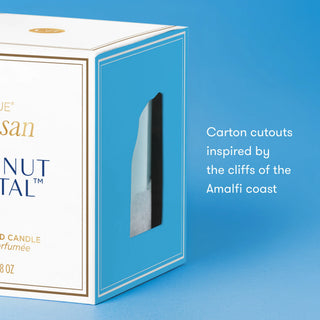 Coconut Santal Luce d'Amalfi Boxed Tumbler Candle - 8oz