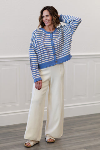 Textured Stripe Crochet Knit Button Down Cardigan in Dusty Blue