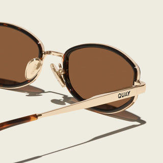 So Niche/ Amber Tort Frame / Brown Lens