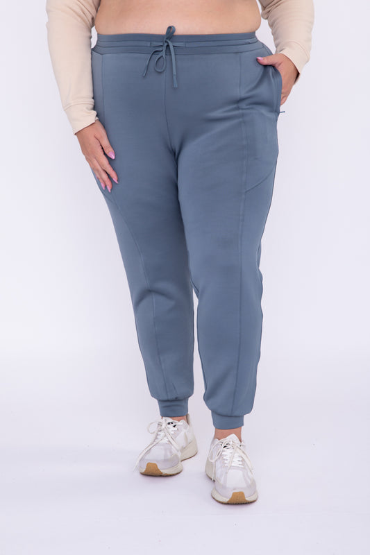 Curvy Cuffed Joggers in Blue