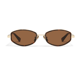 So Niche/ Amber Tort Frame / Brown Lens