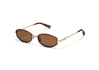 So Niche/ Amber Tort Frame / Brown Lens