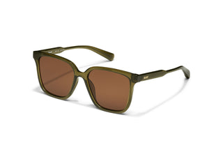 Try Me/ Olive Frame / Brown Lens